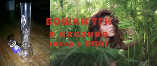 шишки Майский