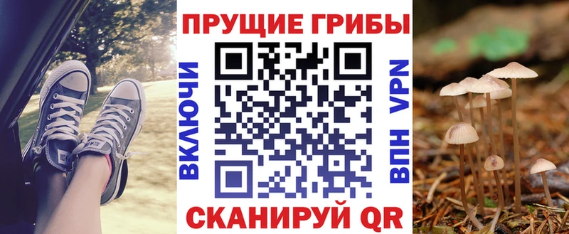 ссылка на мегу ссылки  Фокино  Галлюциногенные грибы мухоморы 